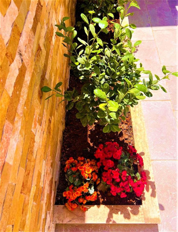 Residenza Salentina Villa Ruffano Luaran gambar